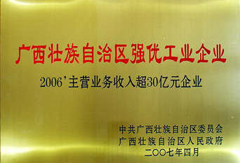 2007年自治區(qū)強(qiáng)優(yōu)工業(yè)企業(yè)